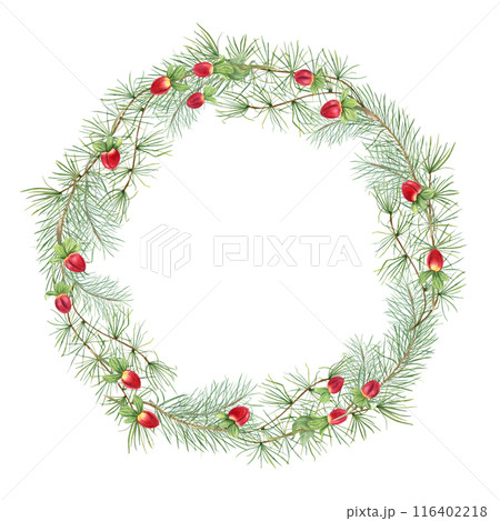 Green pine branches with red berries. Xmas wreath with evergreen branch. Watercolor illustration isolated on white. Copy space for text. Botanical elements for holiday greeting cards, invitations 116402218