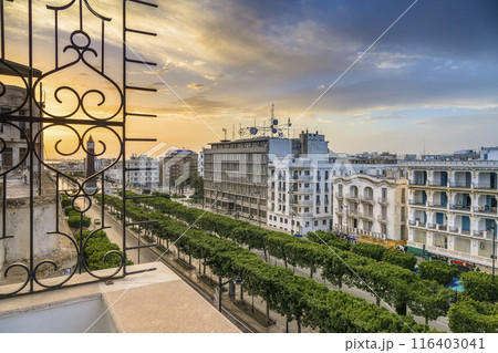 チュニジア・朝焼けに染まるチュニス新市街の大通り / Tunis, Tunisia チュニジア・朝焼けに染まるチュニス新市街の大通り / Tunis, Tunisia 116403041