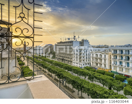 チュニジア・朝焼けに染まるチュニス新市街の大通り / Tunis, Tunisia 116403044