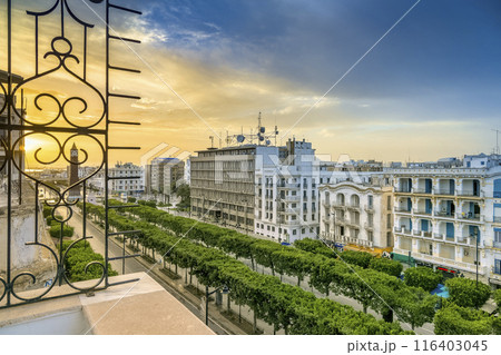 チュニジア・朝日に照らされるチュニス新市街の大通り / Tunis, Tunisia 116403045