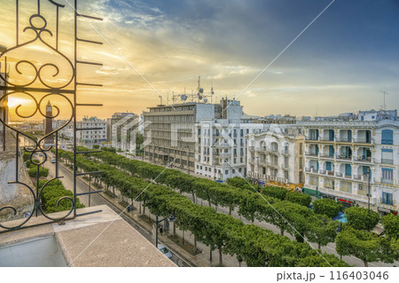 チュニジア・朝日に照らされるチュニス新市街の大通り / Tunis, Tunisia 116403046