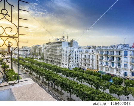 チュニジア・朝日に照らされるチュニス新市街の大通り / Tunis, Tunisia 116403048