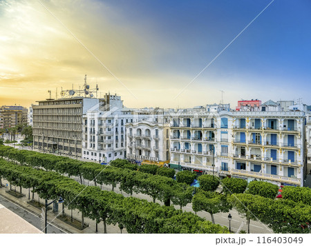 チュニジア・チュニス新市街ハビブ・ブルギバ通り / Tunis, Tunisia チュニジア・チュニス新市街ハビブ・ブルギバ通り / Tunis, Tunisia 116403049