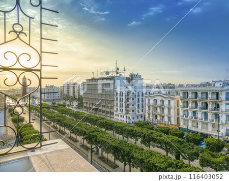チュニジア・朝日に照らされるチュニス新市街の大通り / Tunis, Tunisia 116403052