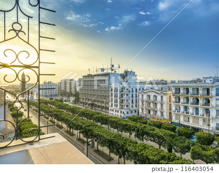 チュニジア・朝日に照らされるチュニス新市街の大通り / Tunis, Tunisia 116403054