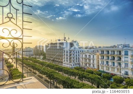 チュニジア・朝日に照らされるチュニス新市街の大通り / Tunis, Tunisia チュニジア・朝日に照らされるチュニス新市街の大通り / Tunis, Tunisia 116403055