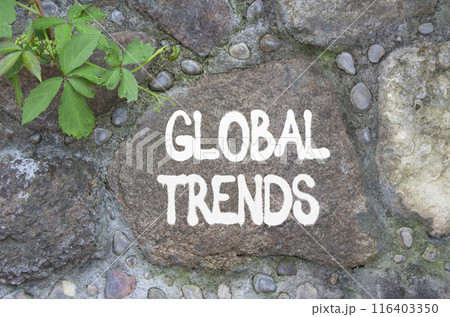 Global Trends symbol. Stone wall with words Global Trends. Beautiful stone background. Business and Global Trends concept. Copy space. Global Trends symbol. Stone wall with words Global Trends. Beautiful stone background. Business and Global Trends concept. Copy space. 116403350