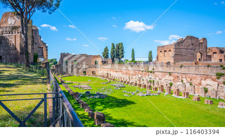 The Palatine Stadium in Rome, Italy, is an ancient structure that was once used for athletic games and other public events. Now, visitors can explore the ruins and imagine the grandeur of the past. 116403394