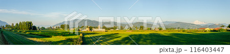 Incredible natural beauty of Mission, Fraser Valley, BC, Canada Incredible natural beauty of Mission, Fraser Valley, BC, Canada 116403447