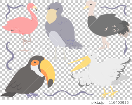 強大的鳥類 116403936