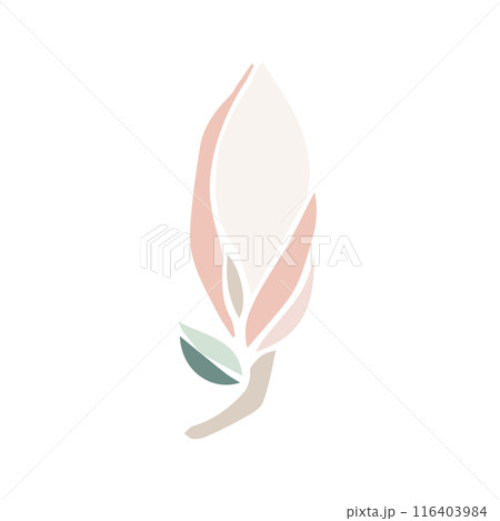 Vector magnolia flower silhouette, illustration in soft pastel color. isolated floral element. flower bud of different shapes for wedding design, prints, templates, greeting cards, invitations. Vector magnolia flower silhouette, illustration in soft pastel color. isolated floral element. flower bud of different shapes for wedding design, prints, templates, greeting cards, invitations. 116403984