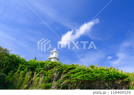 (静岡県)伊豆下田・恵比須島に建つ灯台 (静岡県)伊豆下田・恵比須島に建つ灯台 116404329