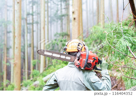 伐採作業を終了して自分が伐採した成果を確認する林業従事者の男性 116404352