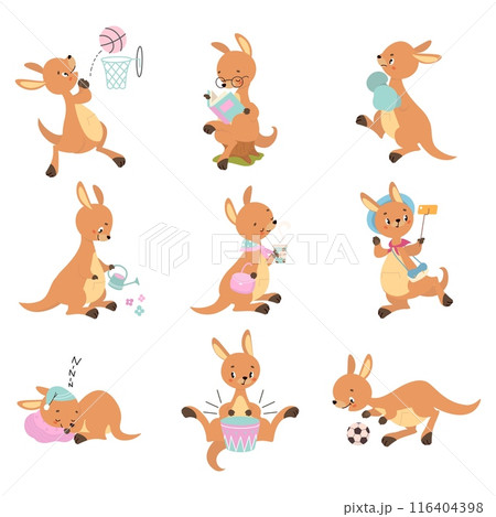 Cartoon kangaroo. Cute kangaroo activities, reading play ball boxing and gardening. Wild australian animal sleeping and drink coffee, nowaday vector characters 116404398