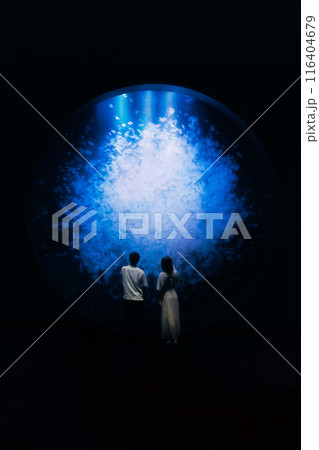 水族館デートするカップル 116404679