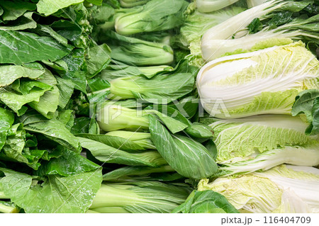 fresh green leafy vegetables, including bok choy and napa cabbage, neatly arranged in a produce section 116404709