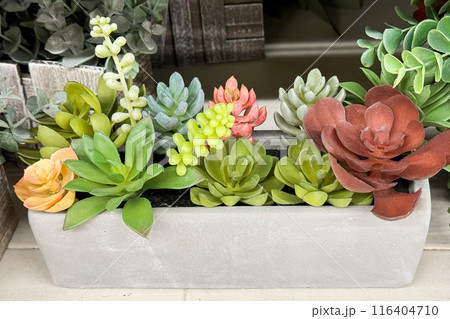 a rectangular planter filled with a variety of colorful and vibrant succulent plants 116404710