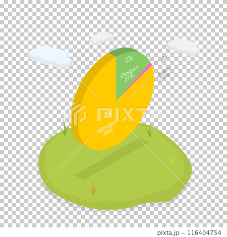 3D Isometric Flat Illustration of Dry Air Components, Pie Chart 3D Isometric Flat Illustration of Dry Air Components, Pie Chart 116404754