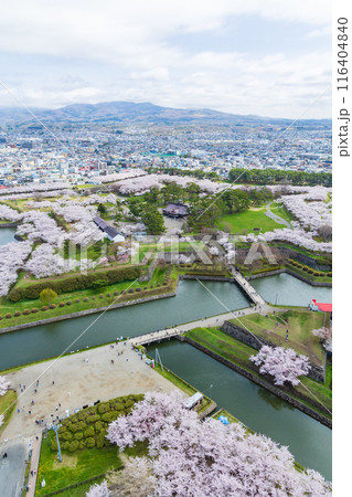 北海道函館市の春 桜満開の五稜郭公園 五稜郭タワーからの眺望 北海道函館市の春 桜満開の五稜郭公園 五稜郭タワーからの眺望 116404840