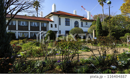 春の港の見える丘公園の花壇に咲く花々 116404887