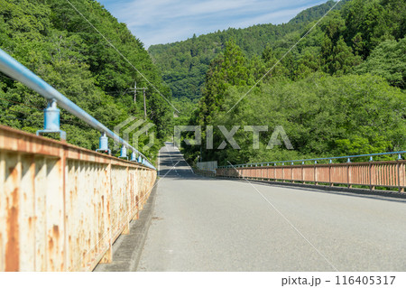 【オートキャンプ場沿いの道志川にかかる青馬橋と新緑】 【オートキャンプ場沿いの道志川にかかる青馬橋と新緑】 116405317