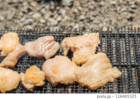 【オートキャンプ場でソロキャンプ 網で白モツを焼く】 【オートキャンプ場でソロキャンプ 網で白モツを焼く】 116405325