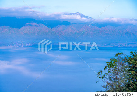 【雲海素材】秋の長峰山から見た松本平の雲海【長野県】 【雲海素材】秋の長峰山から見た松本平の雲海【長野県】 116405857