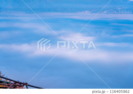 【雲海素材】秋の長峰山から見た松本平の雲海【長野県】 【雲海素材】秋の長峰山から見た松本平の雲海【長野県】 116405862