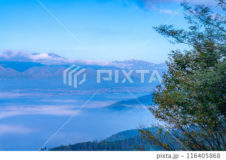 【雲海素材】秋の長峰山から見た松本平の雲海【長野県】 116405868