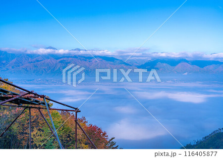 【雲海素材】秋の長峰山から見た松本平の雲海【長野県】 【雲海素材】秋の長峰山から見た松本平の雲海【長野県】 116405877
