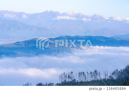 【雲海素材】秋の長峰山から見た松本平の雲海【長野県】 116405884