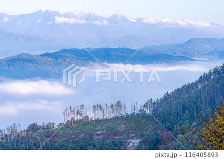 【雲海素材】秋の長峰山から見た松本平の雲海【長野県】 116405893