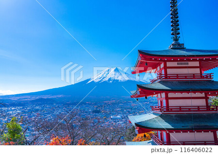【富士山素材】紅葉時期の新倉山浅間公園【山梨県】 116406022