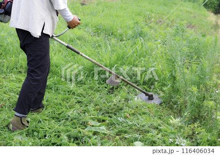 農地の草刈り作業をする男性 農地の草刈り作業をする男性 116406034