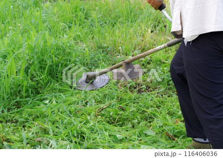 農地の草刈り作業をする男性 116406036