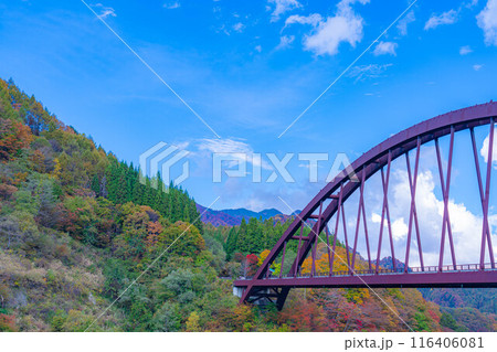 【秋素材】奥裾花渓谷の紅葉【長野県】 【秋素材】奥裾花渓谷の紅葉【長野県】 116406081