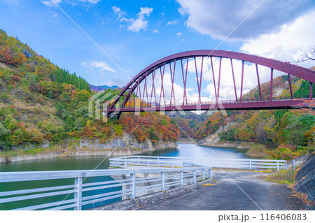 【秋素材】奥裾花渓谷の紅葉【長野県】 【秋素材】奥裾花渓谷の紅葉【長野県】 116406083