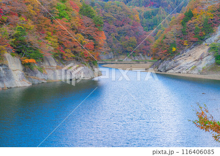【秋素材】奥裾花渓谷の紅葉【長野県】 116406085