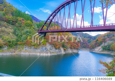 【秋素材】奥裾花渓谷の紅葉【長野県】 116406089