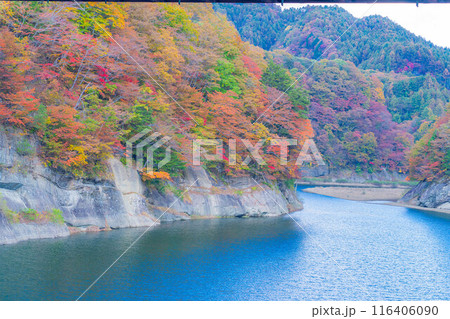 【秋素材】奥裾花渓谷の紅葉【長野県】 【秋素材】奥裾花渓谷の紅葉【長野県】 116406090