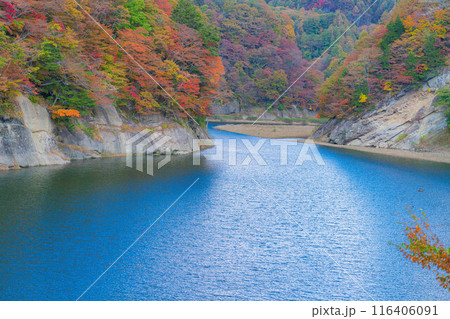 【秋素材】奥裾花渓谷の紅葉【長野県】 【秋素材】奥裾花渓谷の紅葉【長野県】 116406091