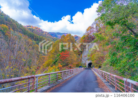 【秋素材】奥裾花渓谷の紅葉【長野県】 【秋素材】奥裾花渓谷の紅葉【長野県】 116406100