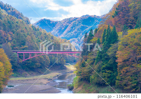 【秋素材】奥裾花渓谷の紅葉【長野県】 【秋素材】奥裾花渓谷の紅葉【長野県】 116406101