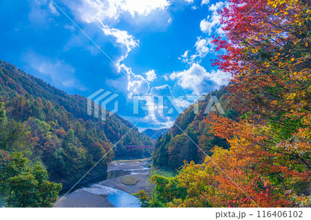 【秋素材】奥裾花渓谷の紅葉【長野県】 【秋素材】奥裾花渓谷の紅葉【長野県】 116406102
