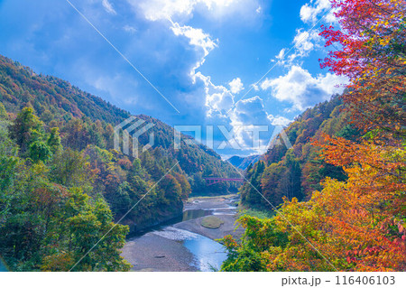 【秋素材】奥裾花渓谷の紅葉【長野県】 【秋素材】奥裾花渓谷の紅葉【長野県】 116406103