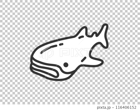 ジンベイザメのアイコン（線画）のイラスト 116406152