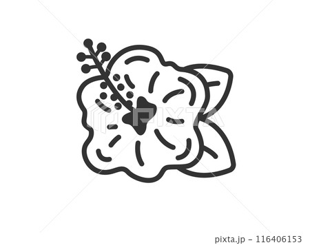 ハイビスカスの花のアイコン（線画）のイラスト 116406153