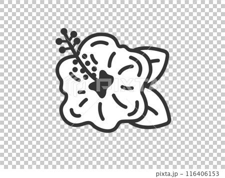 ハイビスカスの花のアイコン（線画）のイラスト 116406153
