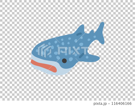 ジンベイザメのアイコンのイラスト ジンベイザメのアイコンのイラスト 116406166