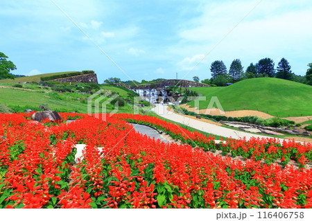 【香川県】国営讃岐まんのう公園（昇竜の滝とお花畑） 116406758